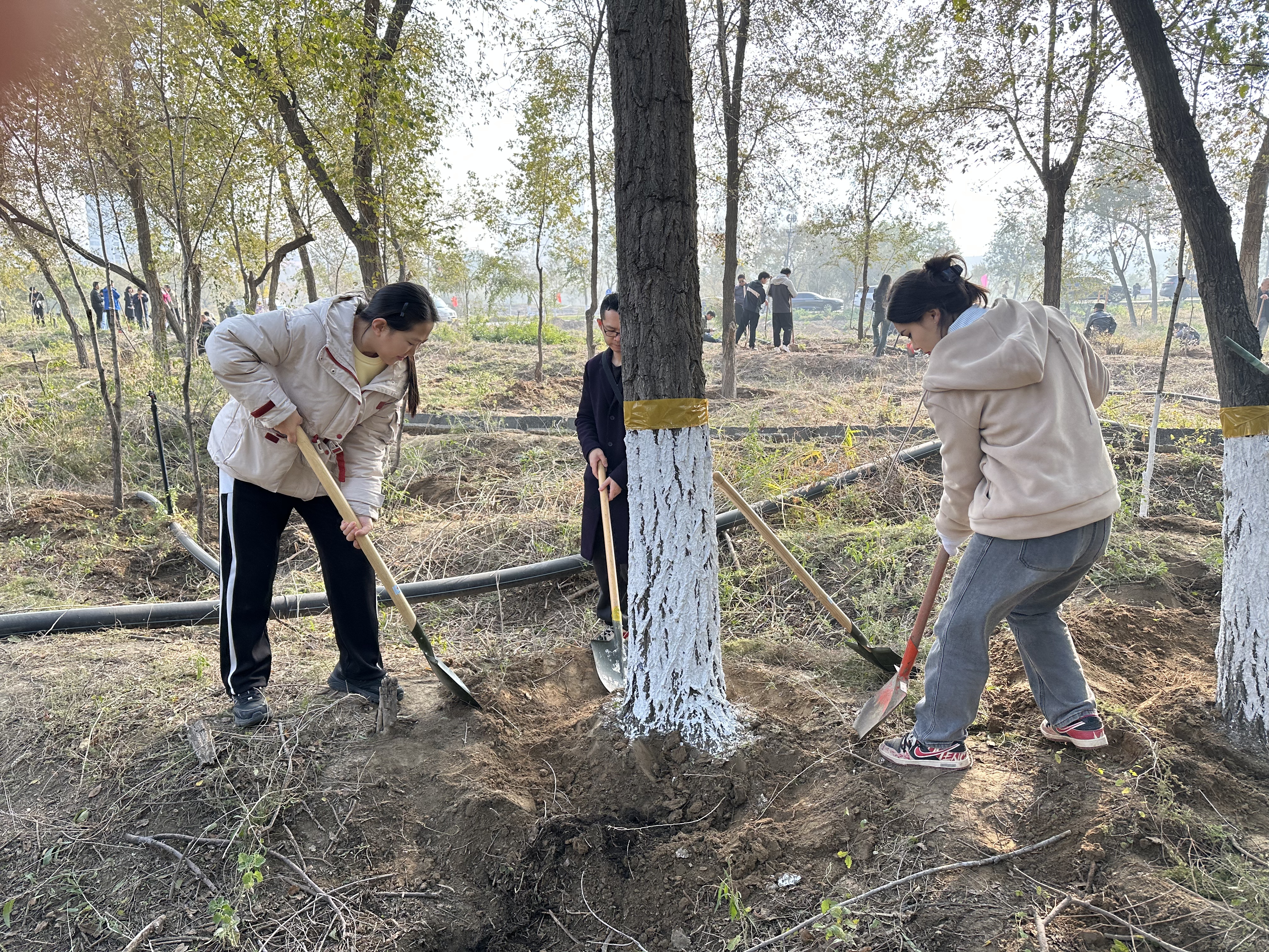 刷树护绿迎秋冬 党建引领聚合力